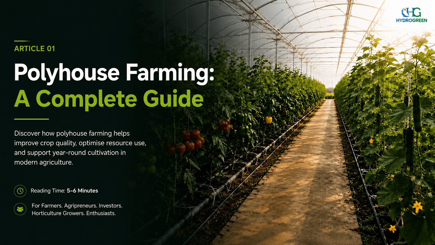 Polyhouse Farming: A Complete Guide