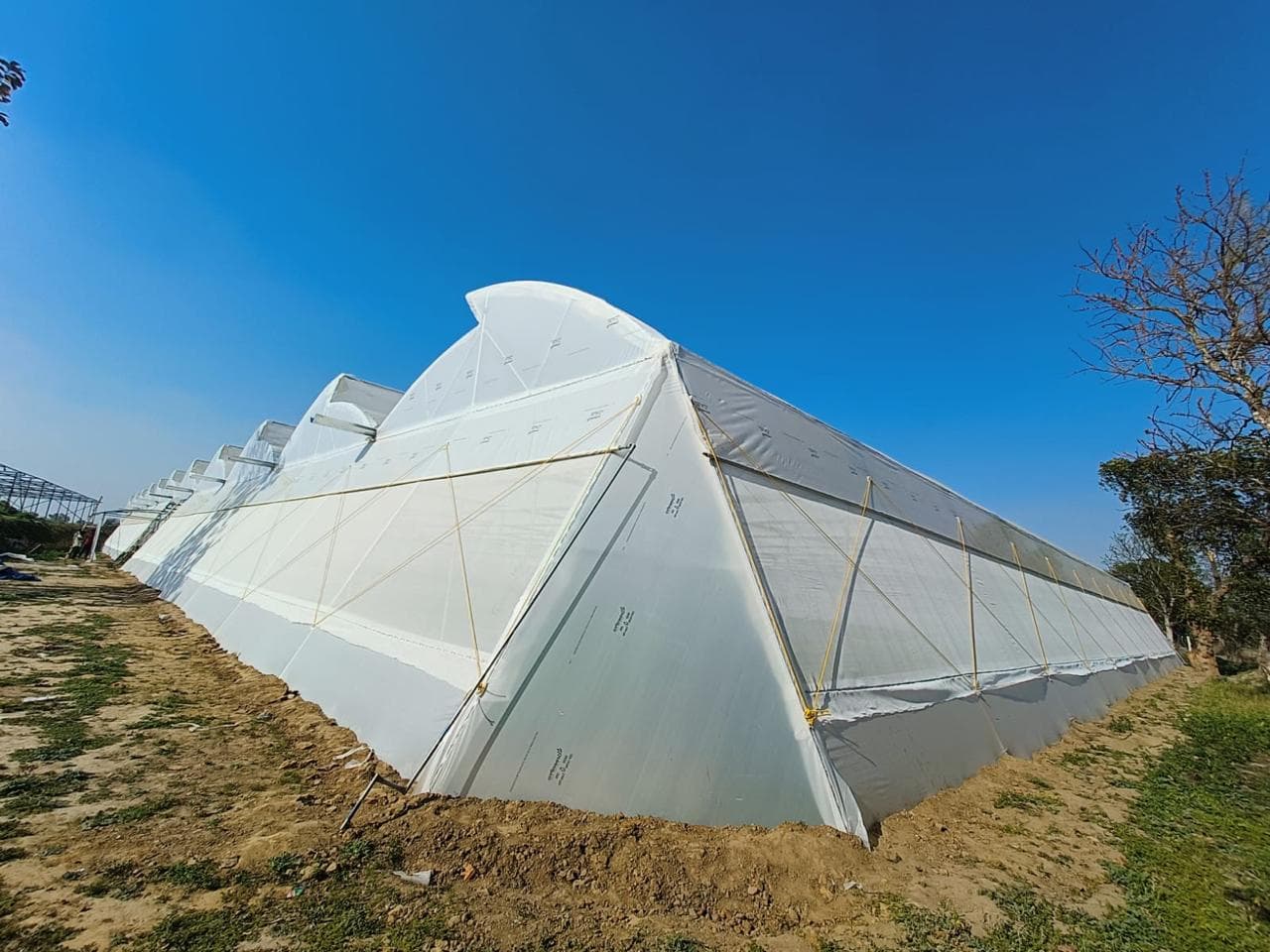 Polyhouse Farming in India: The Complete Guide to High-Profit, Climate-Proof Agriculture